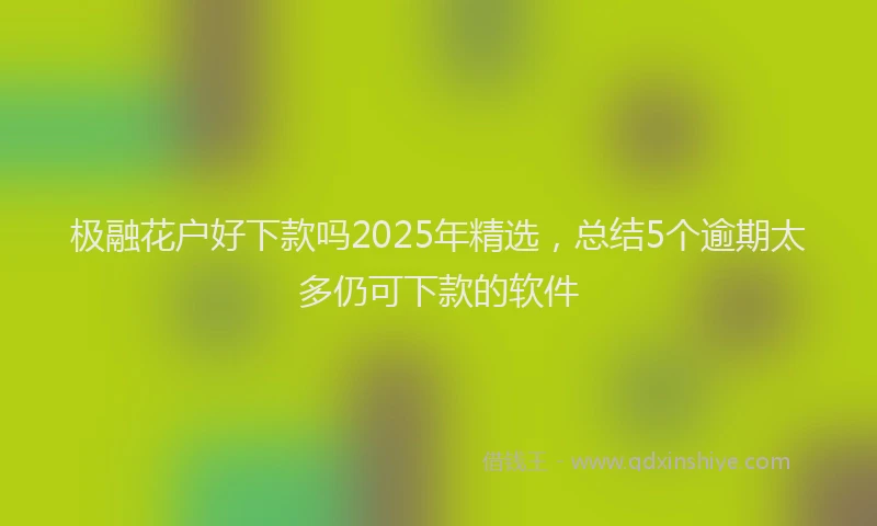 极融花户好下款吗2025年精选，总结5个逾期太多仍可下款的软件