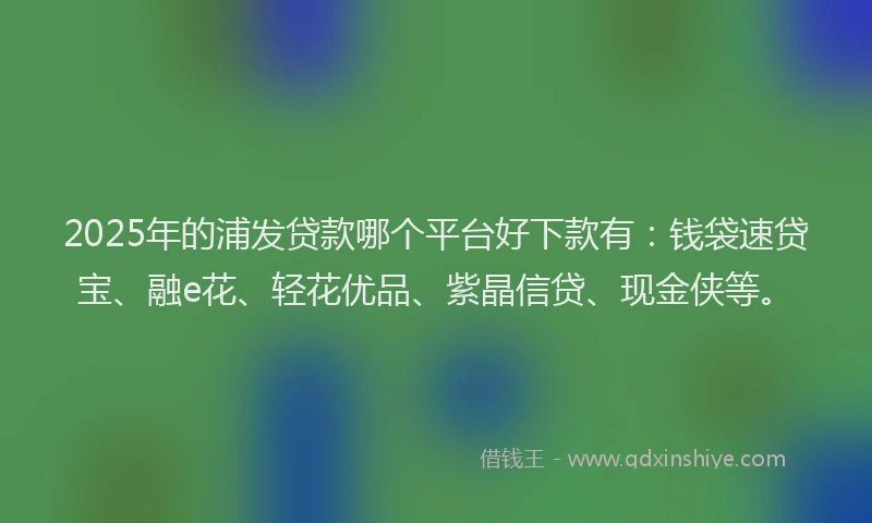 2025年的浦发贷款哪个平台好下款有:钱袋速贷宝、融e花、轻花优品、紫晶信贷、现金侠等。