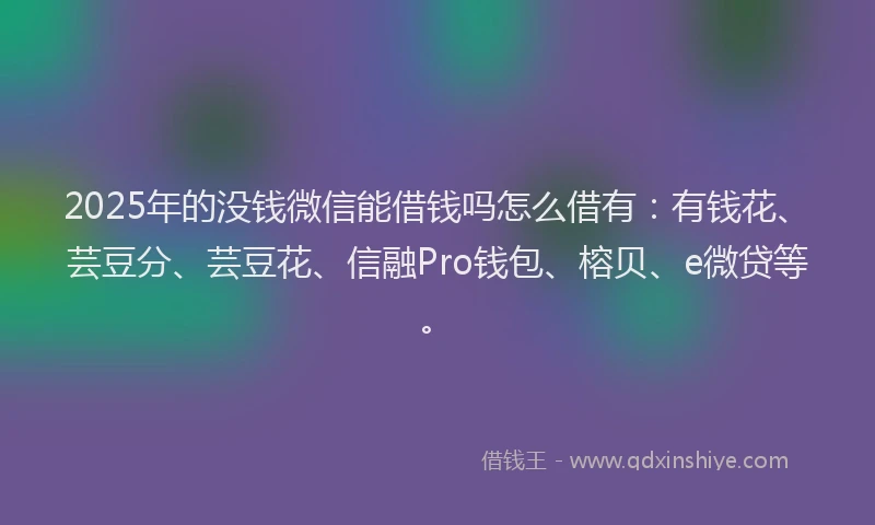 2025年的没钱微信能借钱吗怎么借有：有钱花、芸豆分、芸豆花、信融Pro钱包、榕贝、e微贷等。