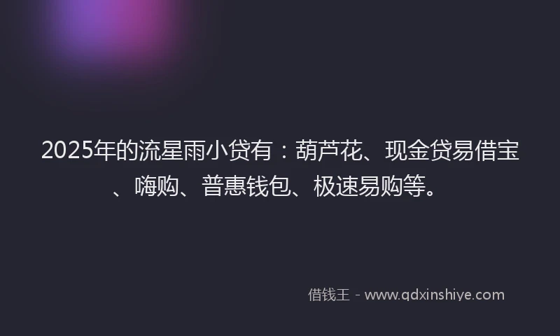 2025年的流星雨小贷有：葫芦花、现金贷易借宝、嗨购、普惠钱包、极速易购等。
