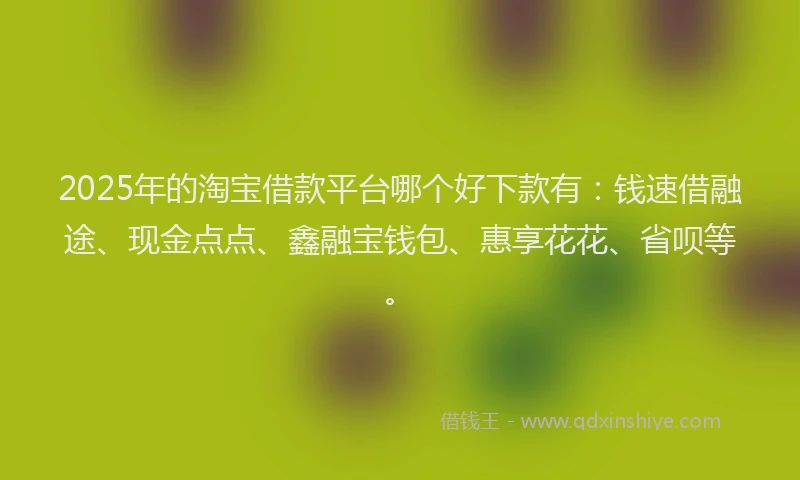 2025年的淘宝借款平台哪个好下款有：钱速借融途、现金点点、鑫融宝钱包、惠享花花、省呗等。