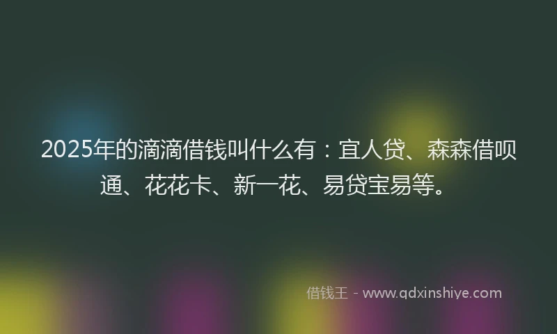 2025年的滴滴借钱叫什么有：宜人贷、森森借呗通、花花卡、新一花、易贷宝易等。