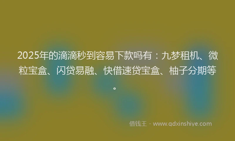 2025年的滴滴秒到容易下款吗有：九梦租机、微粒宝盒、闪贷易融、快借速贷宝盒、柚子分期等。