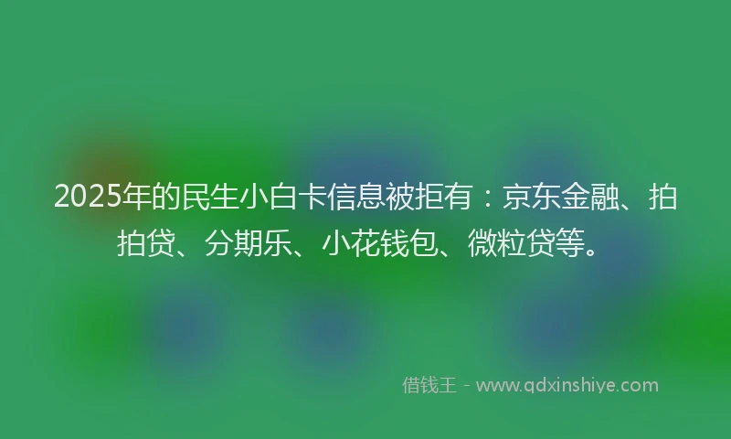 2025年的民生小白卡信息被拒有：京东金融、拍拍贷、分期乐、小花钱包、微粒贷等。