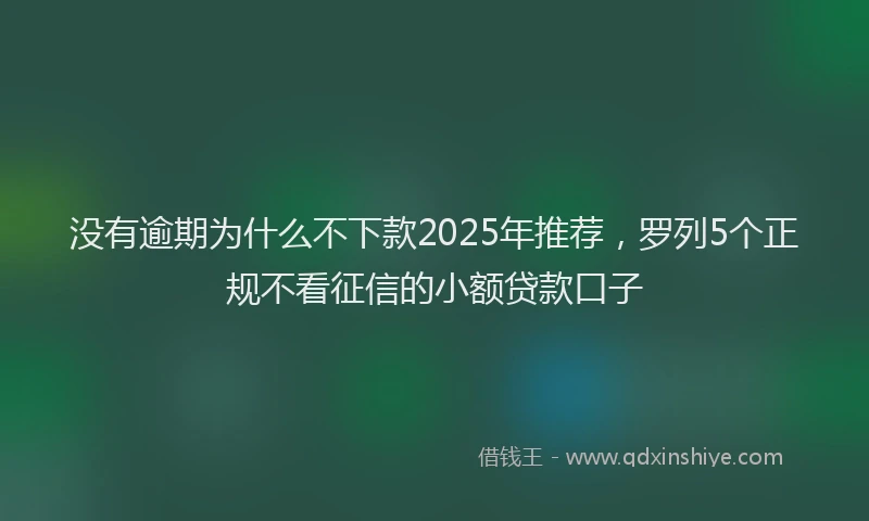 没有逾期为什么不下款2025年推荐，罗列5个正规不看征信的小额贷款口子