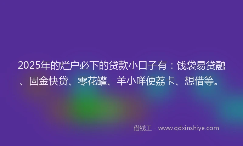 2025年的烂户必下的贷款小口子有：钱袋易贷融、固金快贷、零花罐、羊小咩便荔卡、想借等。