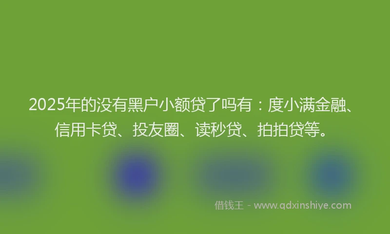 2025年的没有黑户小额贷了吗有：度小满金融、信用卡贷、投友圈、读秒贷、拍拍贷等。