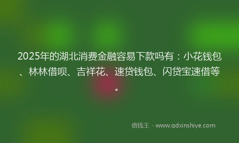 2025年的湖北消费金融容易下款吗有：小花钱包、林林借呗、吉祥花、速贷钱包、闪贷宝速借等。