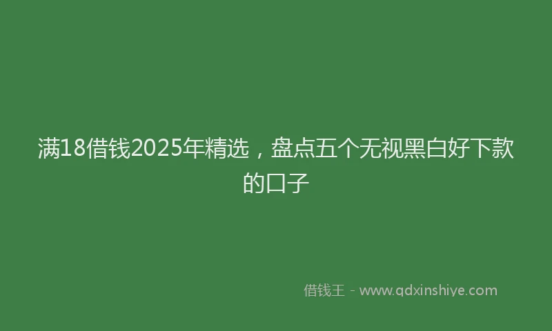满18借钱2025年精选，盘点五个无视黑白好下款的口子
