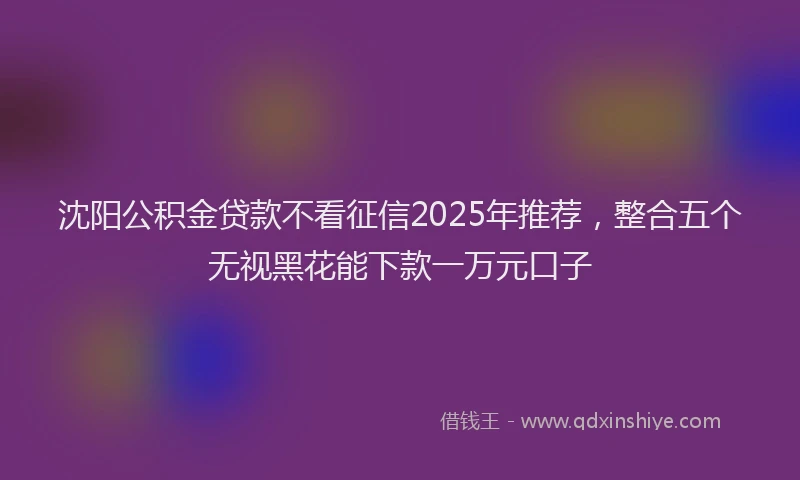 沈阳公积金贷款不看征信2025年推荐，整合五个无视黑花能下款一万元口子