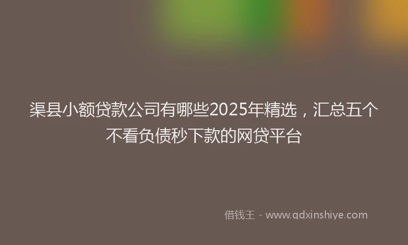 渠县小额贷款公司有哪些2025年精选，汇总五个不看负债秒下款的网贷平台