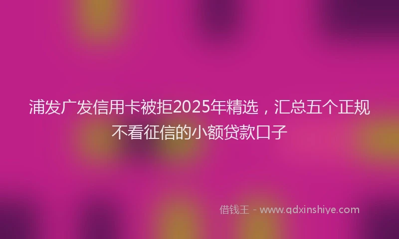 浦发广发信用卡被拒2025年精选，汇总五个正规不看征信的小额贷款口子