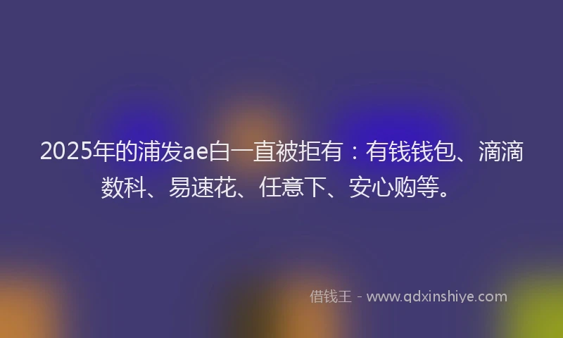 2025年的浦发ae白一直被拒有：有钱钱包、滴滴数科、易速花、任意下、安心购等。