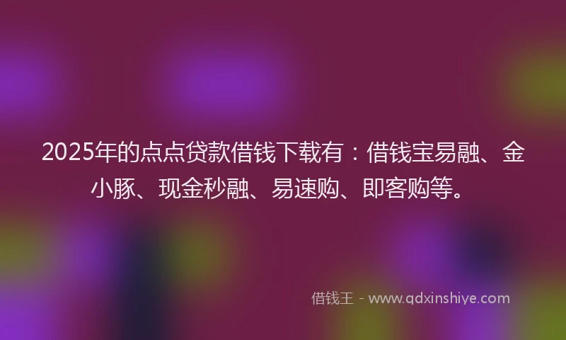 2025年的点点贷款借钱下载有：借钱宝易融、金小豚、现金秒融、易速购、即客购等。