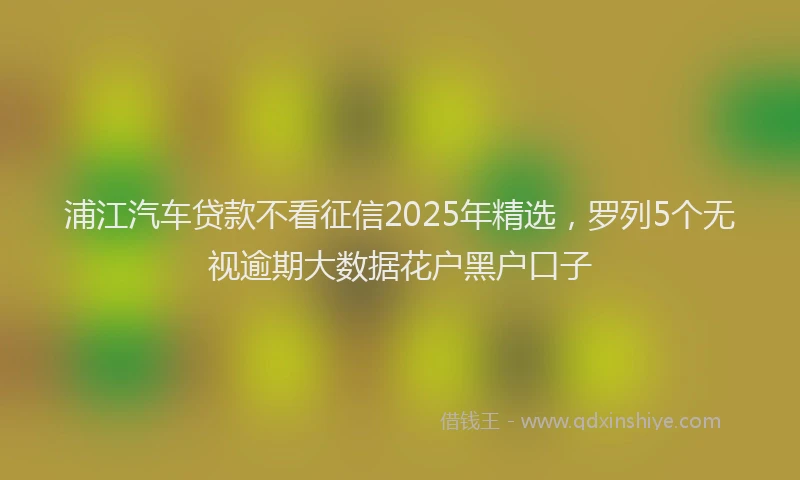 浦江汽车贷款不看征信2025年精选，罗列5个无视逾期大数据花户黑户口子