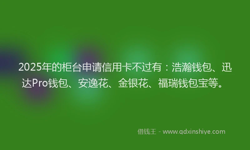 2025年的柜台申请信用卡不过有：浩瀚钱包、迅达Pro钱包、安逸花、金银花、福瑞钱包宝等。