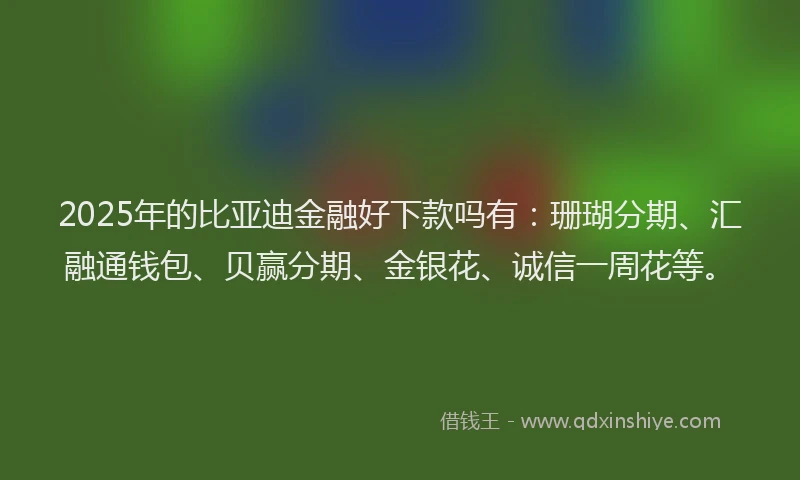 2025年的比亚迪金融好下款吗有：珊瑚分期、汇融通钱包、贝赢分期、金银花、诚信一周花等。