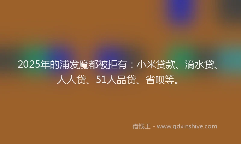 2025年的浦发魔都被拒有：小米贷款、滴水贷、人人贷、51人品贷、省呗等。