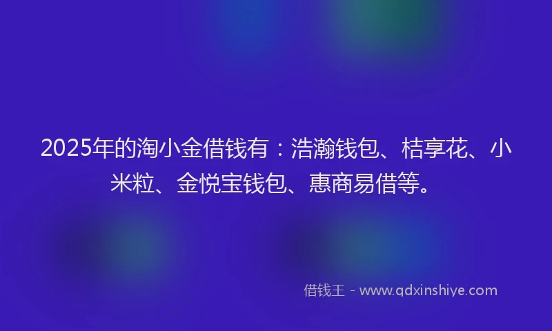 2025年的淘小金借钱有：浩瀚钱包、桔享花、小米粒、金悦宝钱包、惠商易借等。