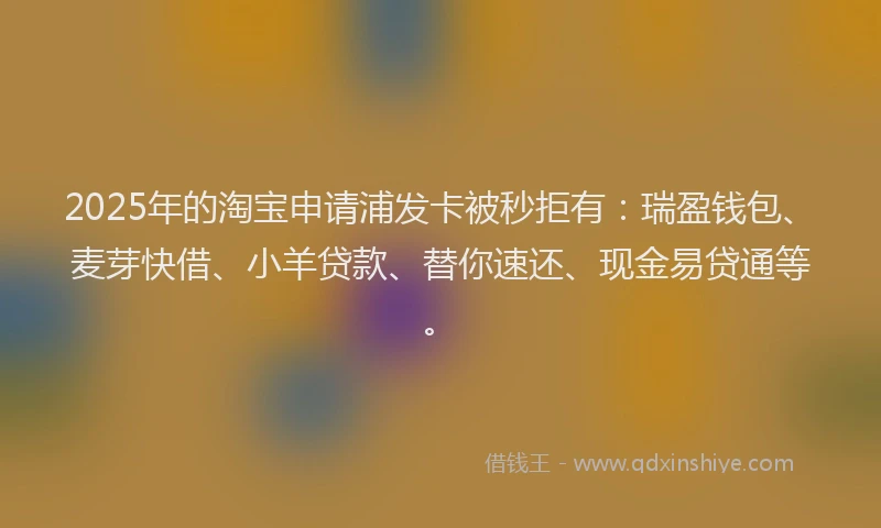 2025年的淘宝申请浦发卡被秒拒有：瑞盈钱包、麦芽快借、小羊贷款、替你速还、现金易贷通等。