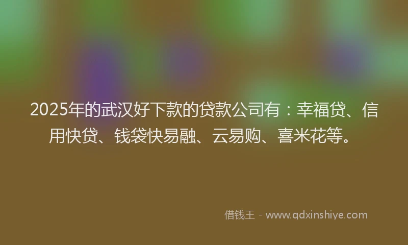 2025年的武汉好下款的贷款公司有：幸福贷、信用快贷、钱袋快易融、云易购、喜米花等。