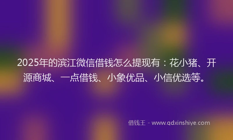 2025年的滨江微信借钱怎么提现有:花小猪、开源商城、一点借钱、小象优品、小信优选等。