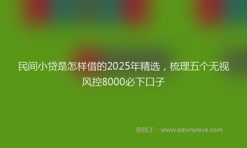 民间小贷是怎样借的2025年精选，梳理五个无视风控8000必下口子