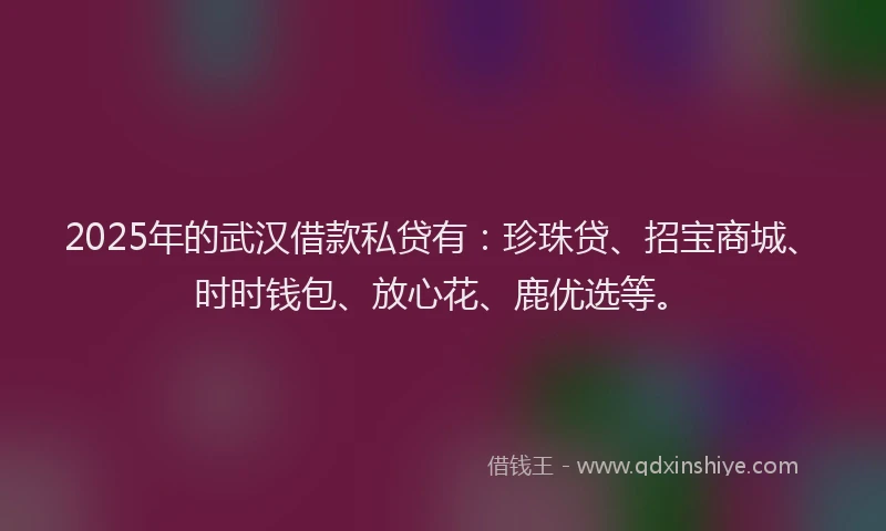 2025年的武汉借款私贷有：珍珠贷、招宝商城、时时钱包、放心花、鹿优选等。