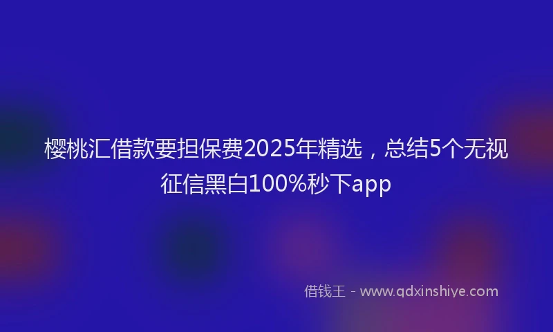 樱桃汇借款要担保费2025年精选，总结5个无视征信黑白100%秒下app
