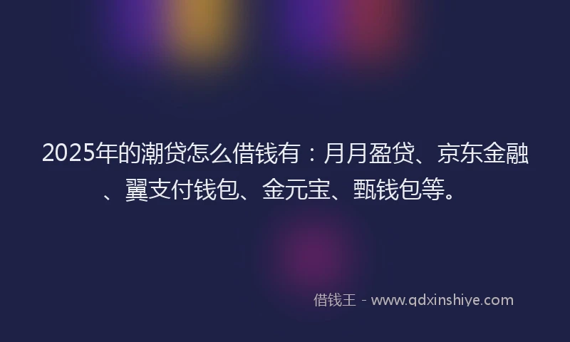 2025年的潮贷怎么借钱有：月月盈贷、京东金融、翼支付钱包、金元宝、甄钱包等。