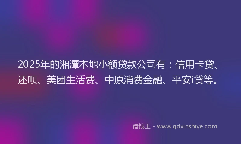 2025年的湘潭本地小额贷款公司有:信用卡贷、还呗、美团生活费、中原消费金融、平安i贷等。