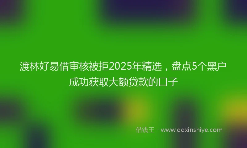 渡林好易借审核被拒2025年精选，盘点5个黑户成功获取大额贷款的口子
