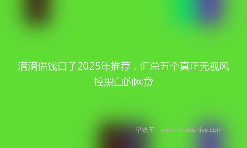 滴滴借钱口子2025年推荐，汇总五个真正无视风控黑白的网贷