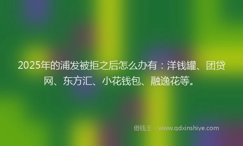 2025年的浦发被拒之后怎么办有:洋钱罐、团贷网、东方汇、小花钱包、融逸花等。