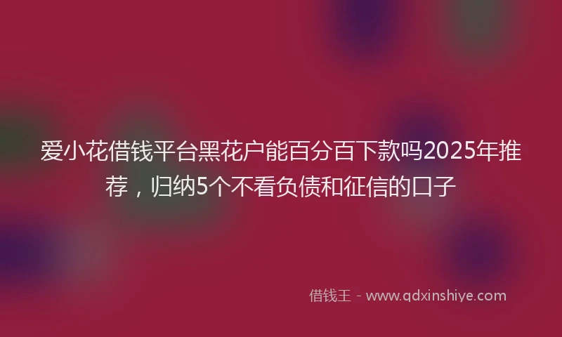 爱小花借钱平台黑花户能百分百下款吗2025年推荐，归纳5个不看负债和征信的口子