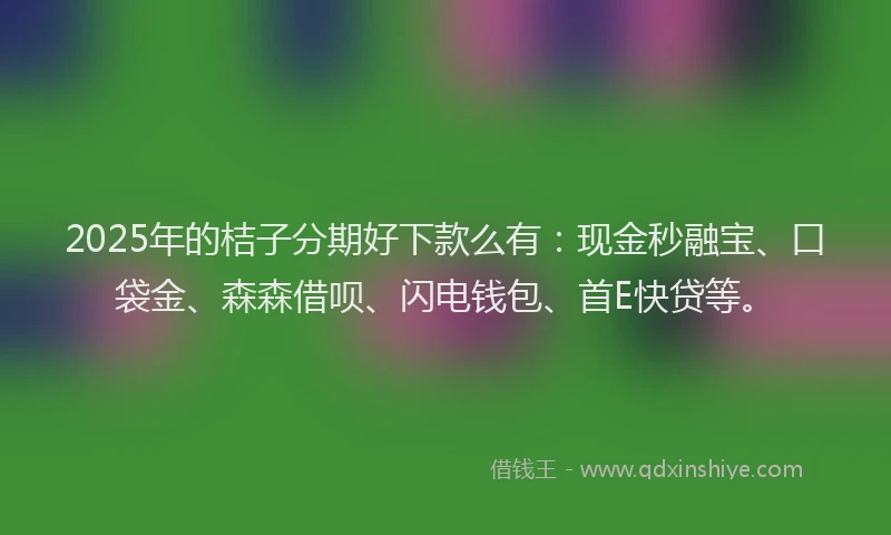 2025年的桔子分期好下款么有：现金秒融宝、口袋金、森森借呗、闪电钱包、首E快贷等。