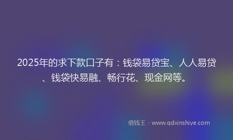 2025年的求下款口子有：钱袋易贷宝、人人易贷、钱袋快易融、畅行花、现金网等。