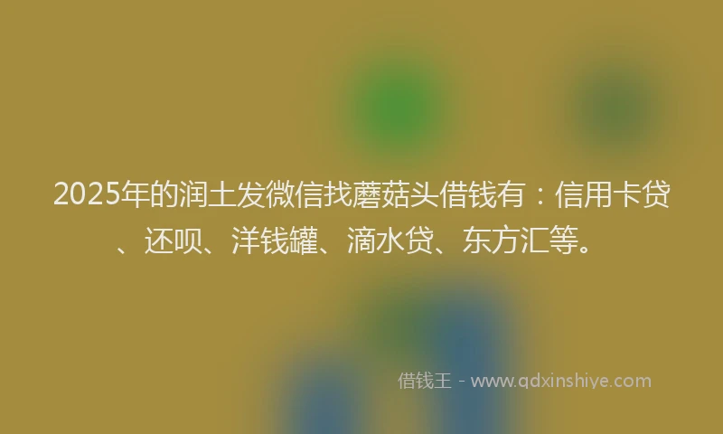 2025年的润土发微信找蘑菇头借钱有：信用卡贷、还呗、洋钱罐、滴水贷、东方汇等。