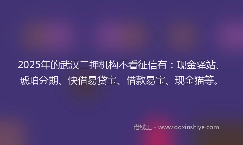 2025年的武汉二押机构不看征信有：现金驿站、琥珀分期、快借易贷宝、借款易宝、现金猫等。