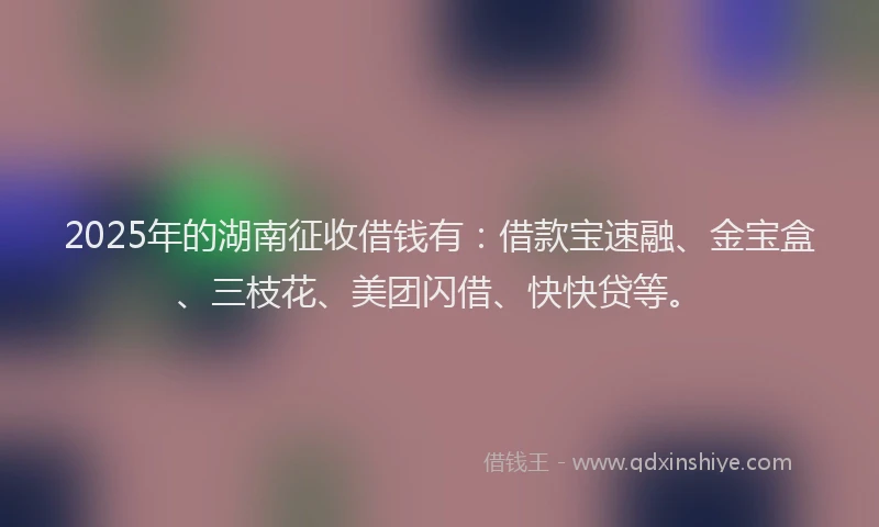 2025年的湖南征收借钱有：借款宝速融、金宝盒、三枝花、美团闪借、快快贷等。