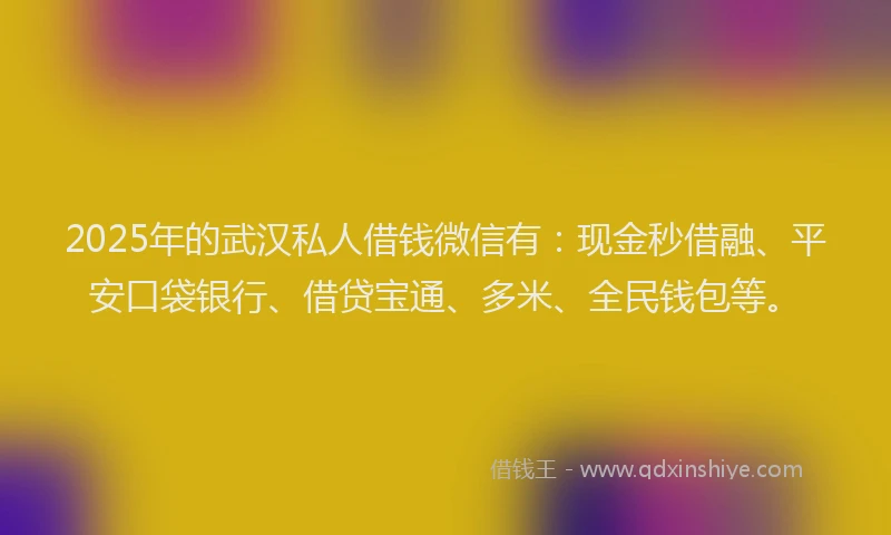 2025年的武汉私人借钱微信有：现金秒借融、平安口袋银行、借贷宝通、多米、全民钱包等。