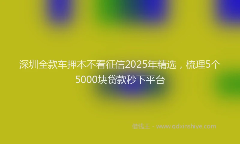 深圳全款车押本不看征信2025年精选，梳理5个5000块贷款秒下平台