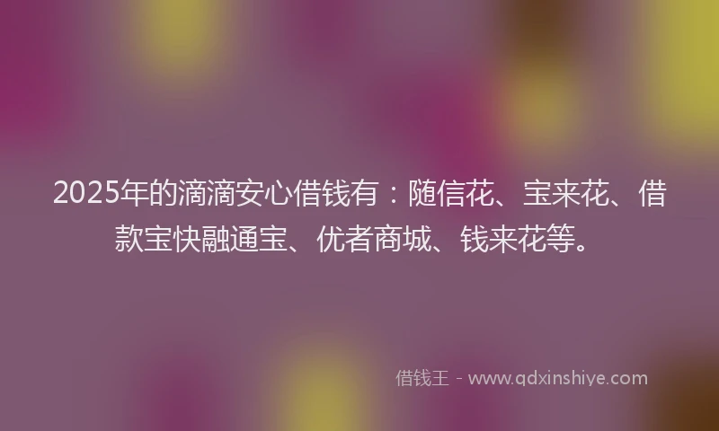 2025年的滴滴安心借钱有：随信花、宝来花、借款宝快融通宝、优者商城、钱来花等。