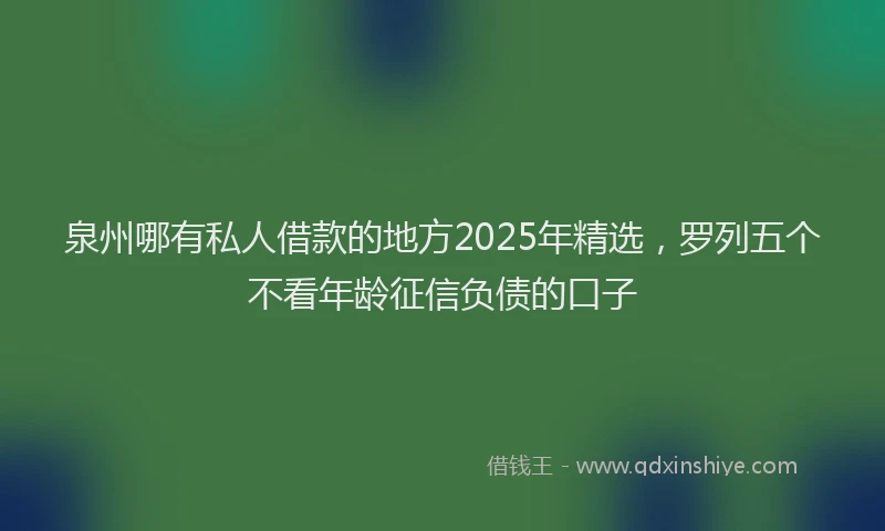 泉州哪有私人借款的地方2025年精选，罗列五个不看年龄征信负债的口子