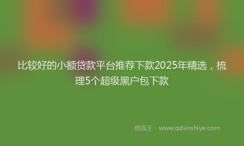 比较好的小额贷款平台推荐下款2025年精选，梳理5个超级黑户包下款