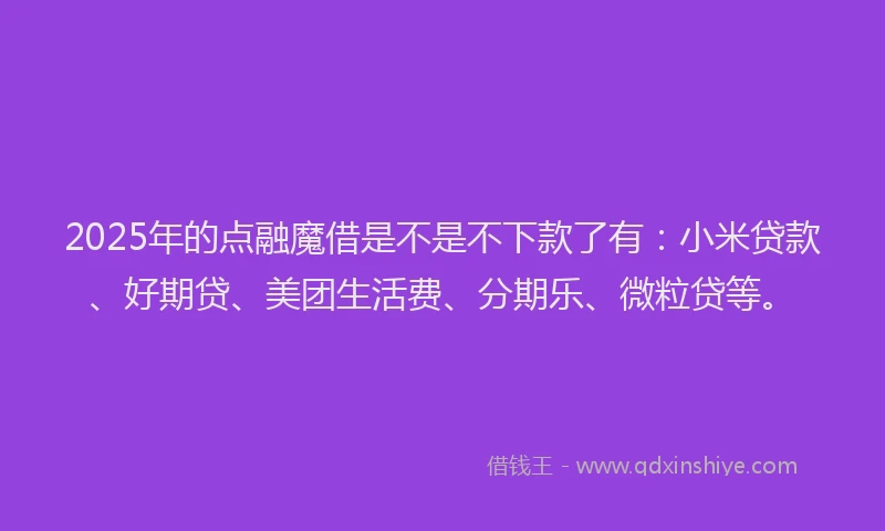 2025年的点融魔借是不是不下款了有：小米贷款、好期贷、美团生活费、分期乐、微粒贷等。