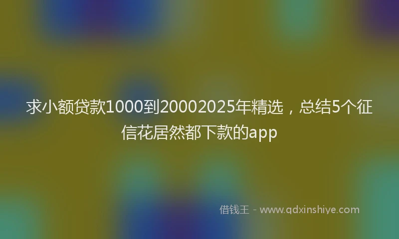 求小额贷款1000到20002025年精选，总结5个征信花居然都下款的app