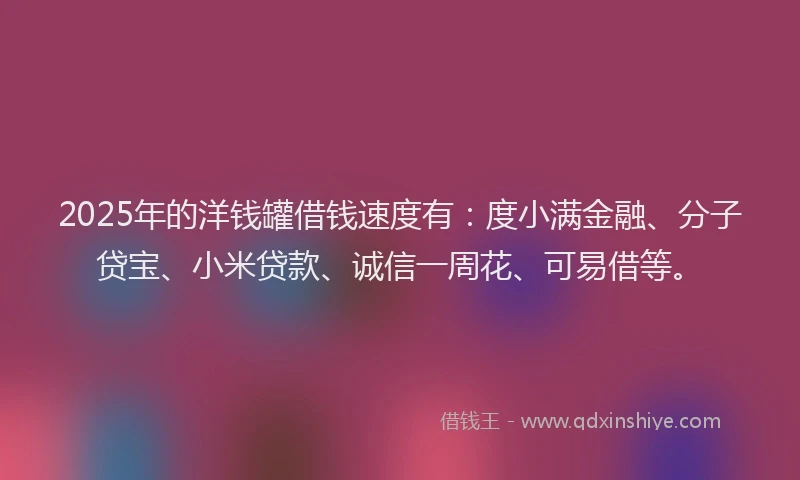 2025年的洋钱罐借钱速度有：度小满金融、分子贷宝、小米贷款、诚信一周花、可易借等。