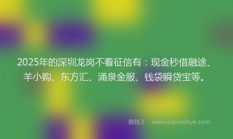 2025年的深圳龙岗不看征信有：现金秒借融途、羊小购、东方汇、涌泉金服、钱袋瞬贷宝等。