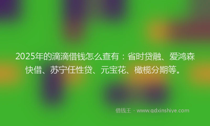 2025年的滴滴借钱怎么查有：省时贷融、爱鸿森快借、苏宁任性贷、元宝花、橄榄分期等。